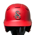 Scorpions 3D Helmet Decal