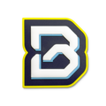 BOTS "B" 3D Helmet Decal