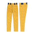 Sabertooth Baseball Pants 2026 (Gold)