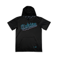 Irvine Dolphins Short Sleeve Hoodie (Mitani)