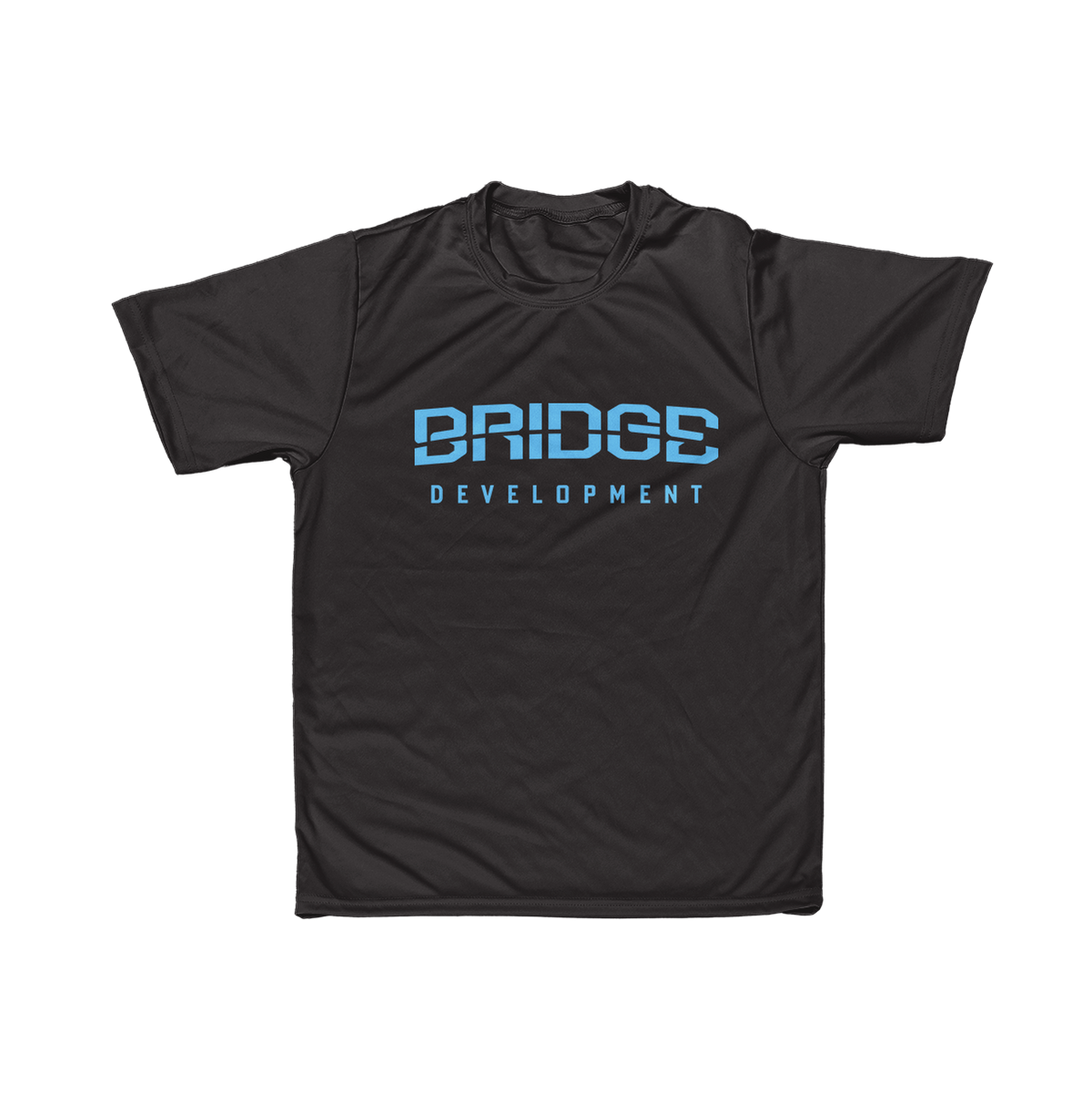 Bridge Development Poly Tee