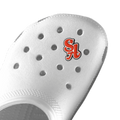 SA Pony Croc Charm