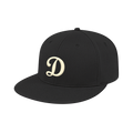 Irvine Dolphins Player Hat (Black/Cream)